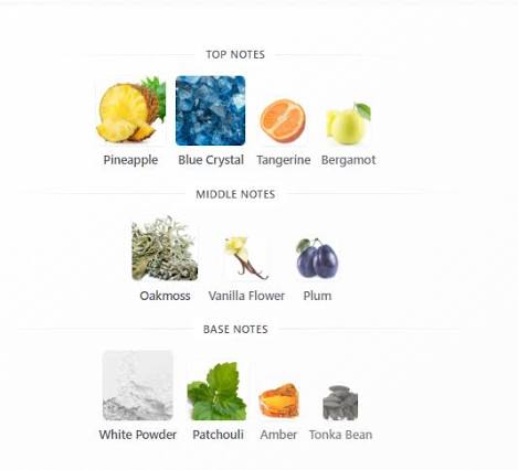 Fragrance notes for Armaf Club de Nuit Intense Overdose, including pineapple, bergamot, plum, amber, and tonka bean